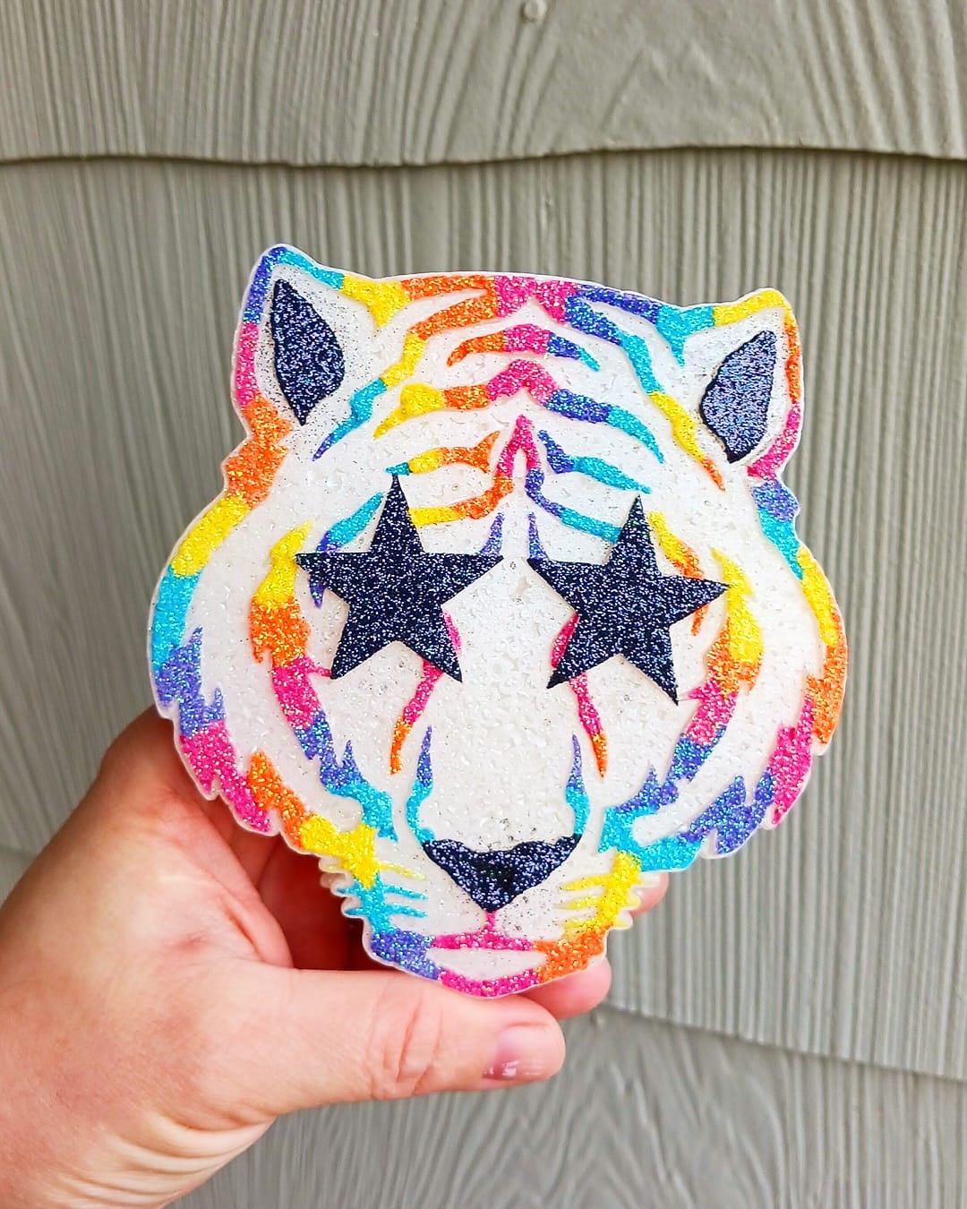 Star Eyed Tiger Silicone Freshie Mold